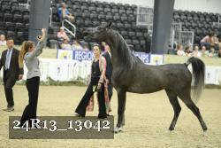 24R13_13042 thumbnail