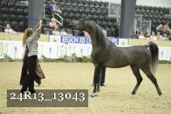 24R13_13043 thumbnail