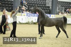 24R13_13044 thumbnail