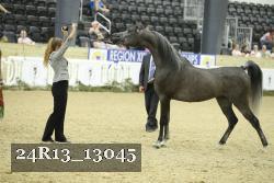 24R13_13045 thumbnail