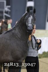 24R13_13047 thumbnail
