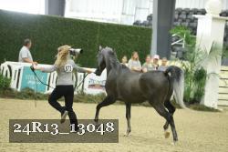 24R13_13048 thumbnail
