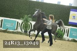 24R13_13049 thumbnail