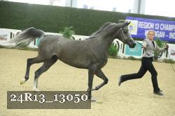 24R13_13050 thumbnail