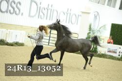 24R13_13052 thumbnail
