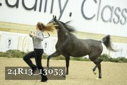 24R13_13053 thumbnail