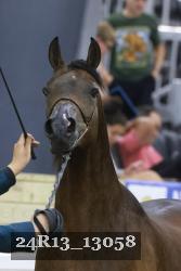 24R13_13058 thumbnail