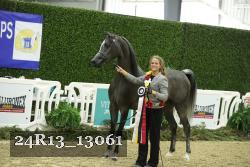 24R13_13061 thumbnail