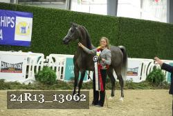 24R13_13062 thumbnail