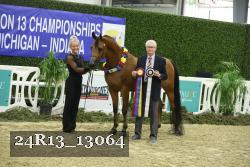 24R13_13064 thumbnail