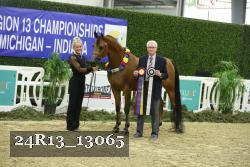 24R13_13065 thumbnail