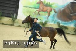 24R13_13067 thumbnail