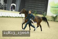24R13_13068 thumbnail