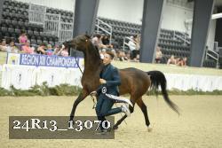 24R13_13070 thumbnail