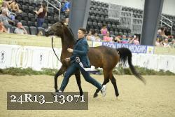 24R13_13071 thumbnail
