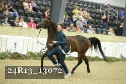 24R13_13072 thumbnail