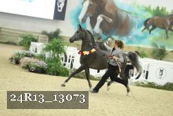 24R13_13073 thumbnail