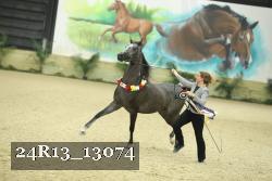 24R13_13074 thumbnail