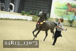 24R13_13075 thumbnail