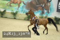 24R13_13078 thumbnail
