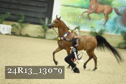 24R13_13079 thumbnail