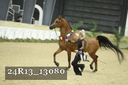 24R13_13080 thumbnail