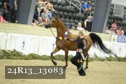 24R13_13083 thumbnail