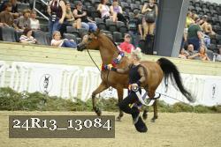 24R13_13084 thumbnail