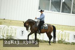 24R13_13085 thumbnail