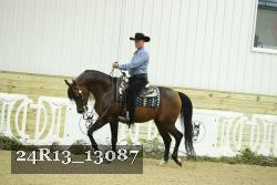 24R13_13087 thumbnail