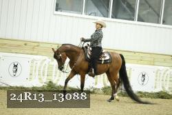 24R13_13088 thumbnail
