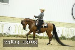 24R13_13103 thumbnail