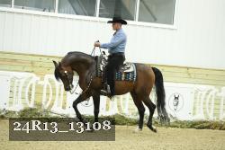 24R13_13108 thumbnail