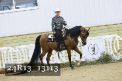 24R13_13113 thumbnail