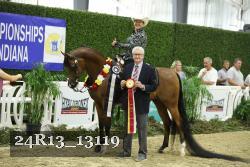 24R13_13119 thumbnail