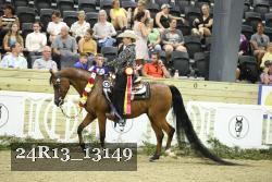 24R13_13149 thumbnail