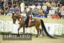 24R13_13151 thumbnail