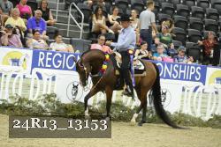 24R13_13153 thumbnail