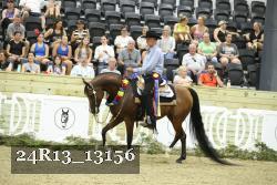 24R13_13156 thumbnail