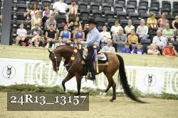 24R13_13157 thumbnail
