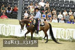 24R13_13158 thumbnail