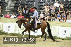 24R13_13159 thumbnail