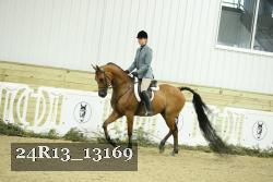 24R13_13169 thumbnail