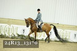 24R13_13170 thumbnail