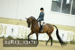 24R13_13171 thumbnail