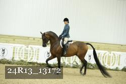 24R13_13172 thumbnail