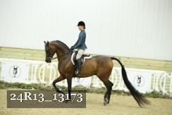 24R13_13173 thumbnail