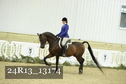 24R13_13174 thumbnail