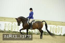 24R13_13175 thumbnail