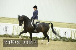 24R13_13177 thumbnail